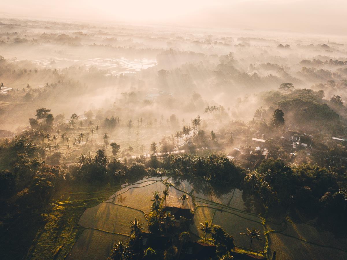 Tanah Gajah, A Resort By Hadiprana Ubud Dış mekan fotoğraf
